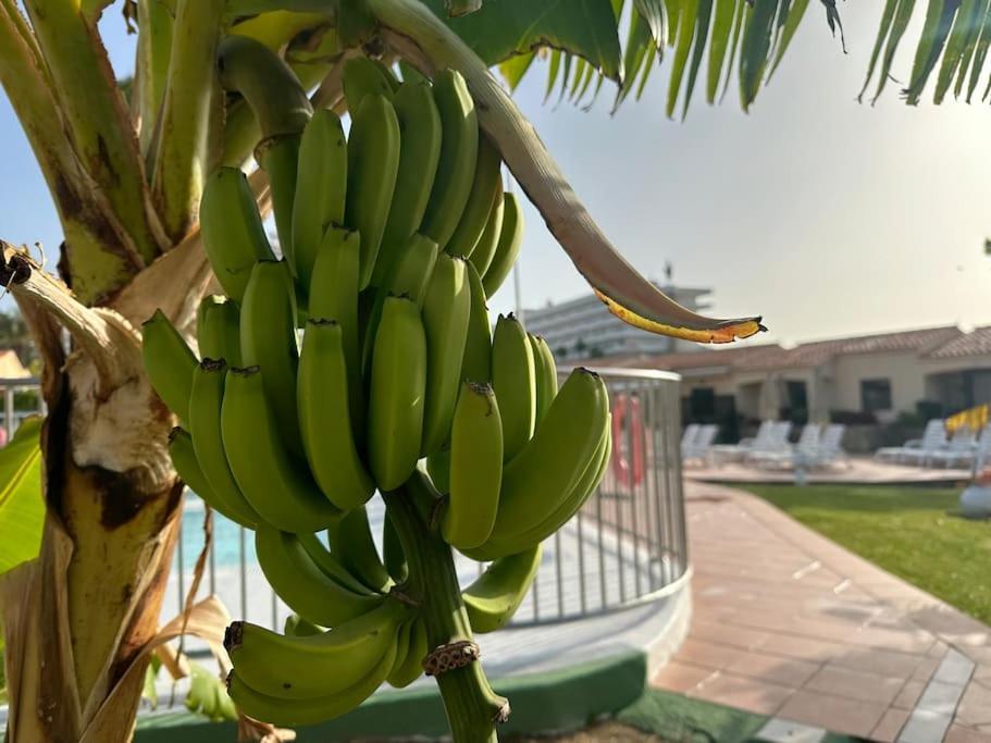 Bungalow Santa Fe Maspalomas  Eksteriør billede